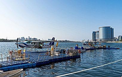 PC游戏秀：《饥荒》开发商新作《熔炉密林》公布