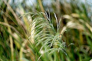 三款RTX40 SUPER显卡发布：4080SUPER售价8099元起